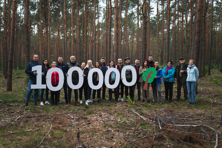 Zrównoważony rozwój. Pracownicy Volkswagen Poznań posadzili już 100 000 drzew