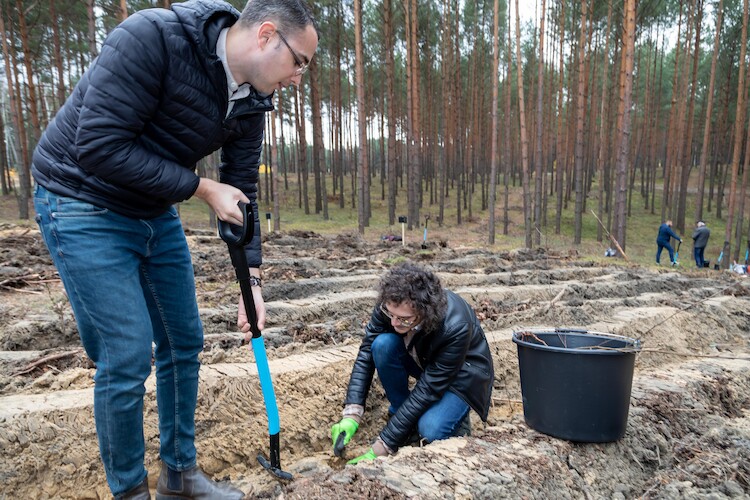 Volkswagen kontynuuje rewitalizację lasów – tym razem w Siewierzu, Zubrzycy Dolnej i Bukowsku