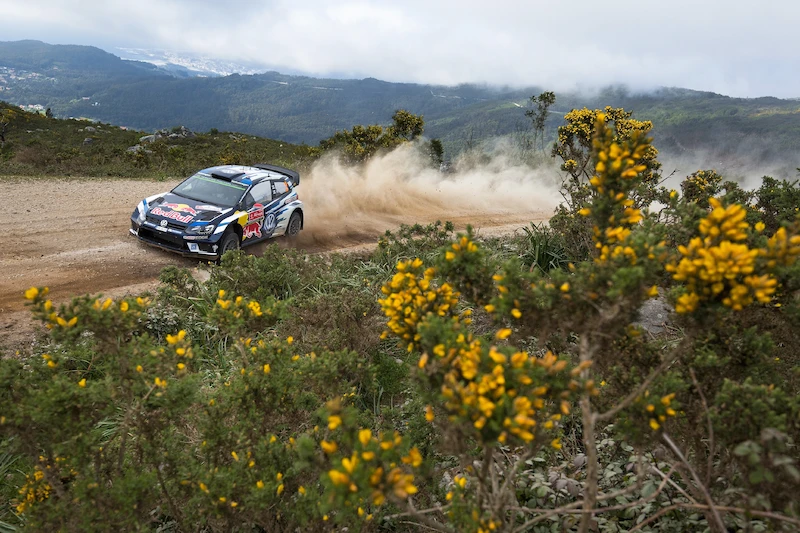 WRC, Rajd Portugalii 2016 - 14.